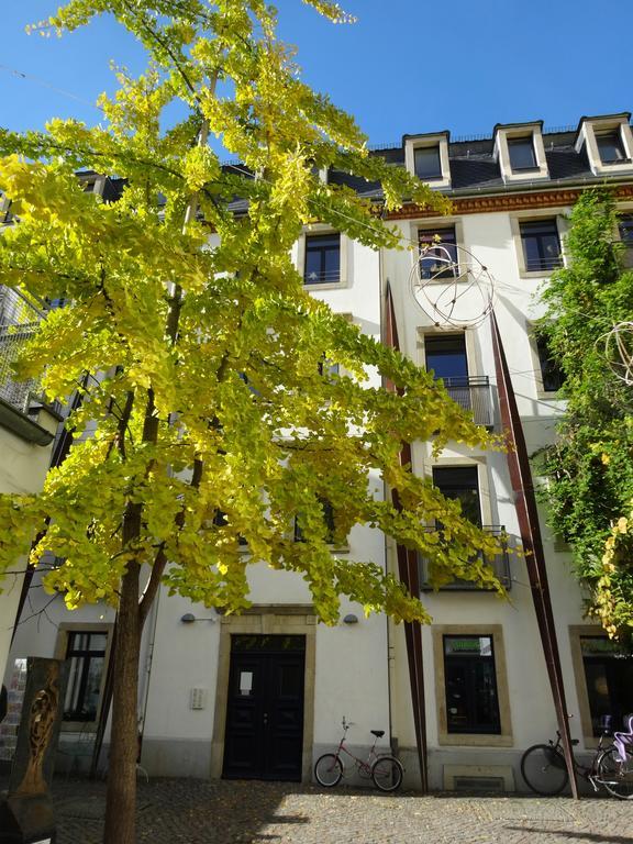 Neustadtperle Dresden Rom bilde